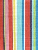 Pauline 332 Fiesta Covington Fabric